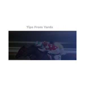 High Quality Horse Tipster Service