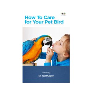 Care For Your Pet Bird