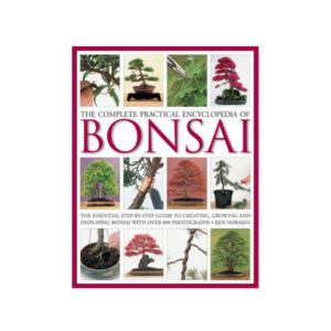 Add Years To Your Bonsai Tree