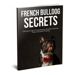 French Bulldog Secrets