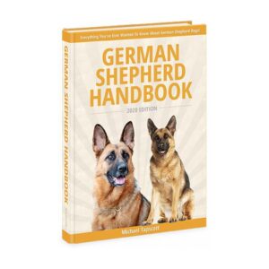 Become Best Friend With Your GSD