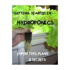 Getting Started In Hydroponics