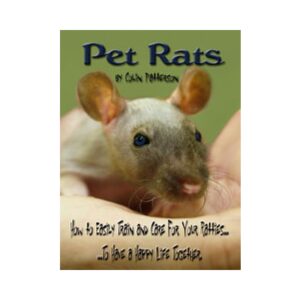 Pet Rat Care And Training Guide