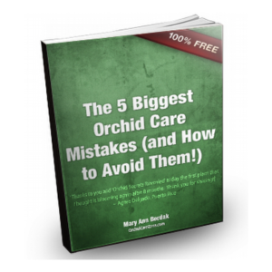 Orchid secrets revealed