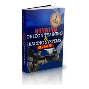 Pigeon training  systems