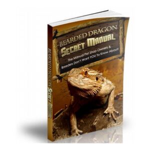 Bearded Dragon Secret Manual