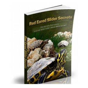 Red eared slider secrets