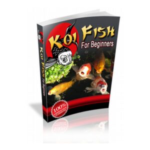 Koi fish for beginners